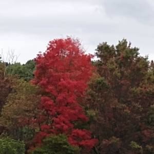 Meet your Posher, Janice